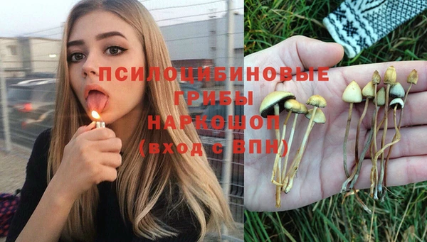 ПСИЛОЦИБИНОВЫЕ ГРИБЫ Алексин