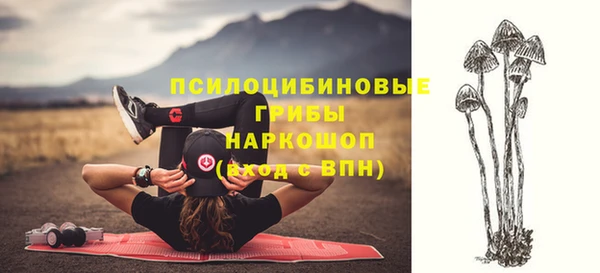 амф Алзамай