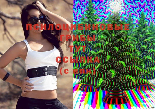 спиды Алексеевка