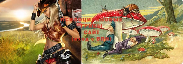 ПСИЛОЦИБИНОВЫЕ ГРИБЫ Алексин