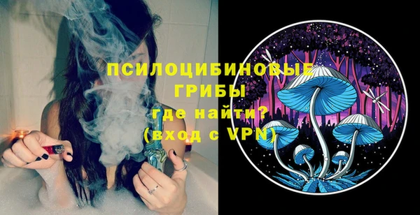 спиды Алексеевка