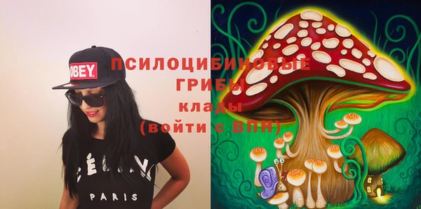 гидропоника Аркадак