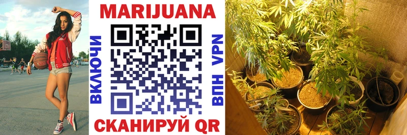 продажа наркотиков  Льгов  Бошки Шишки OG Kush 